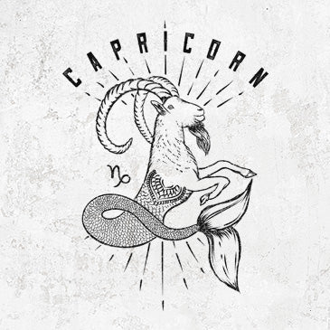 Capricorn Sea Goat design on apparel from Because Tees