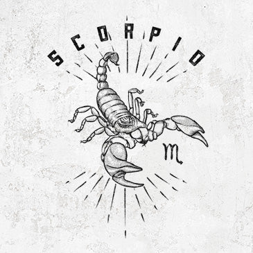 Scorpio scorpion design on apparel from Because Tees