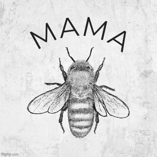 Family Bee Set