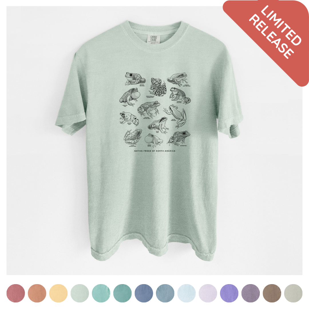 Unisex Comfort Colors Garment-Dyed Heavyweight T-shirt