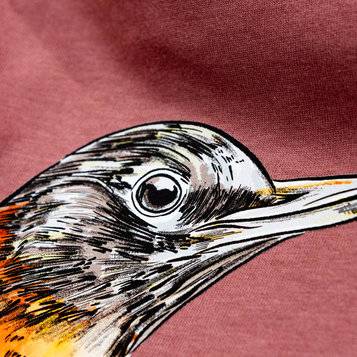 Vibrant American Robin - Turdus migratorius - Unisex Comfort Colors Garment-Dyed Heavyweight T-shirt