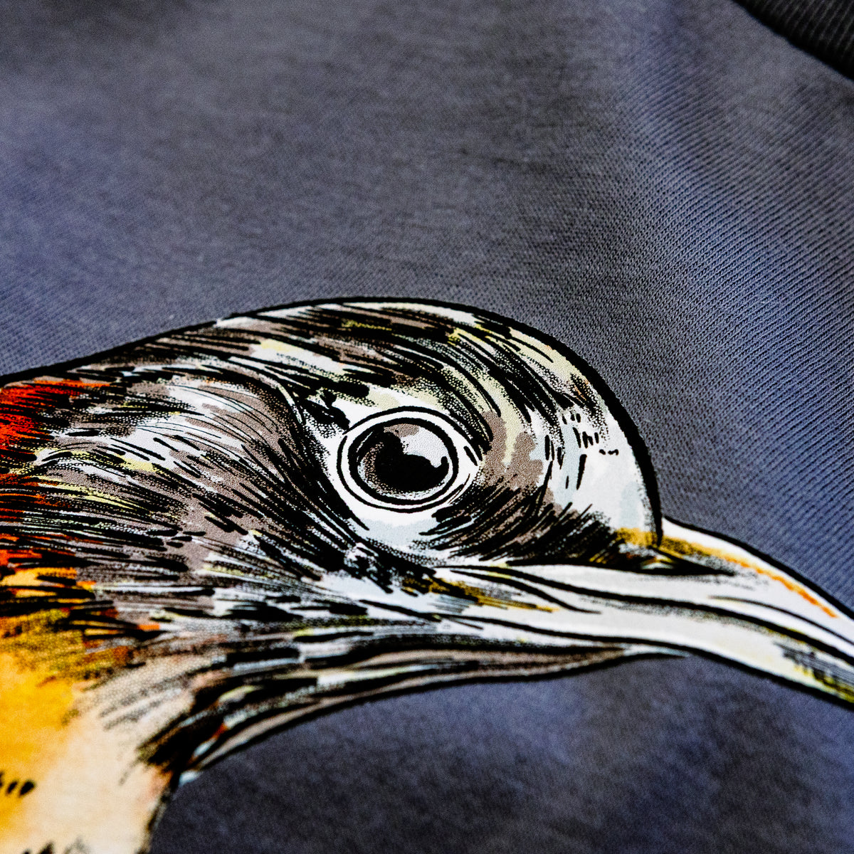 Vibrant American Robin - Turdus migratorius - Cali Wave Hooded Sweatshirt