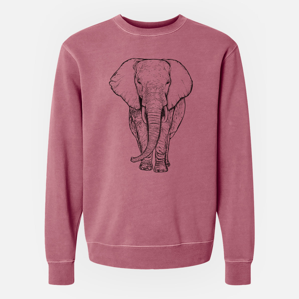 Loxodonta africana - African Elephant - Unisex Pigment Dyed Crew Sweatshirt