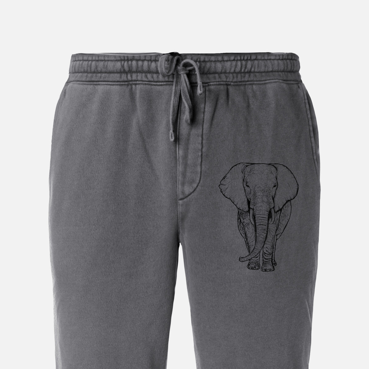 Loxodonta africana - African Elephant - Unisex Pigment Dyed Sweatpants