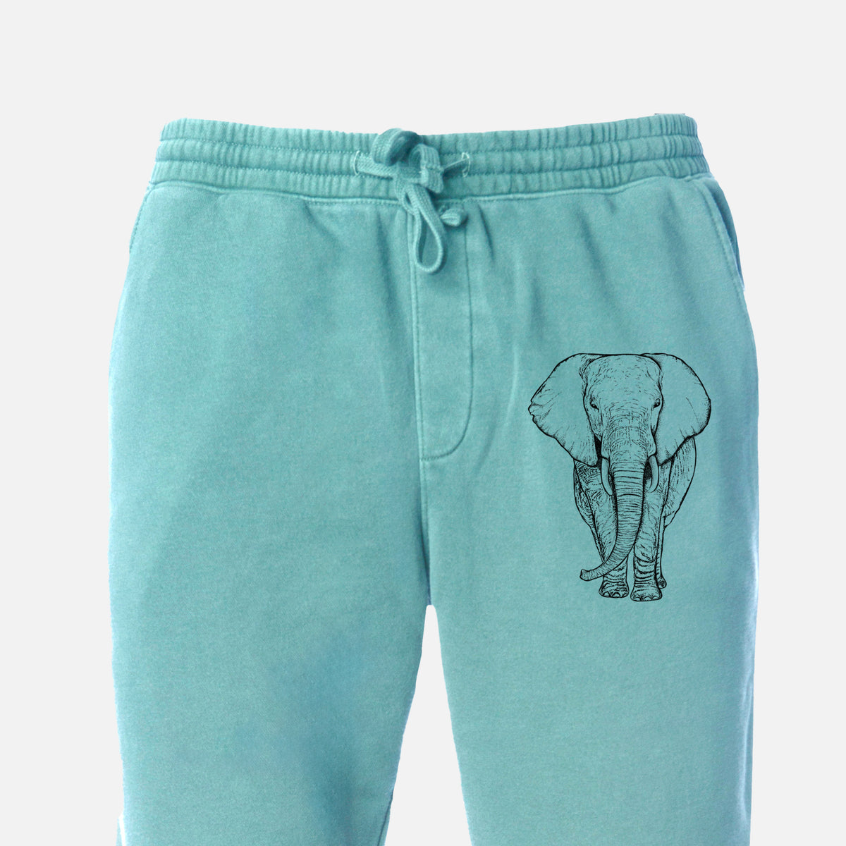 Loxodonta africana - African Elephant - Unisex Pigment Dyed Sweatpants