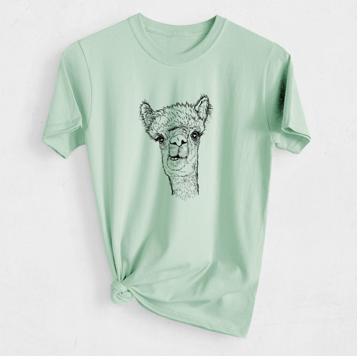 Alpaca - Heavyweight Men&#39;s 100% Organic Cotton Tee