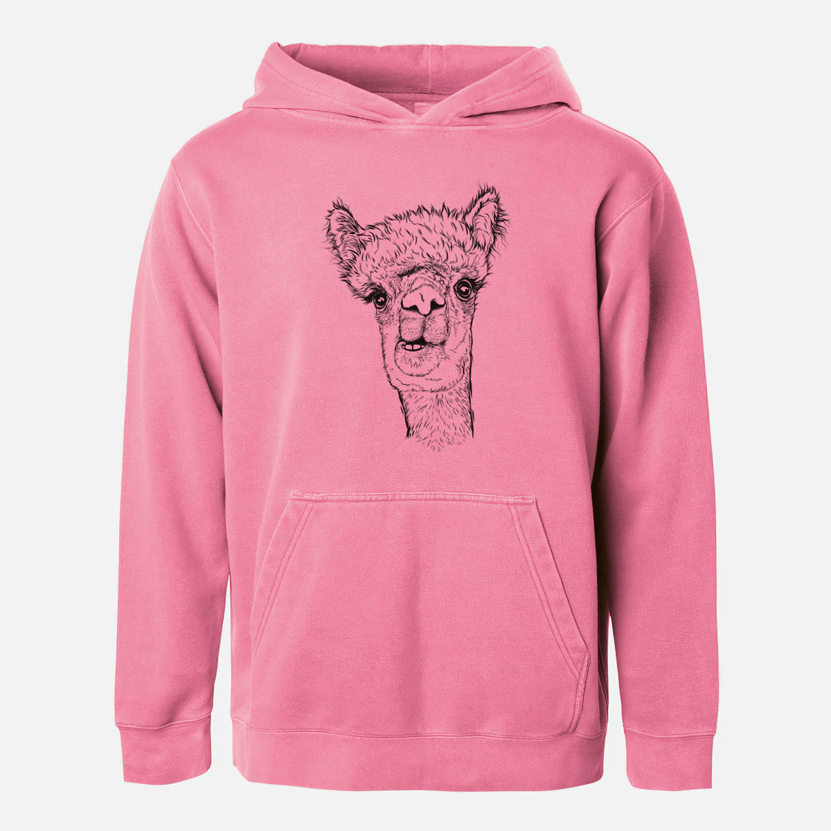 Alpaca - Youth Pigment Dyed Hoodie