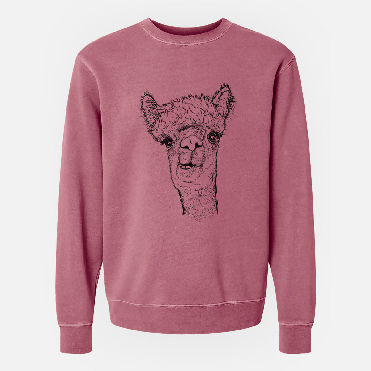 Alpaca - Unisex Pigment Dyed Crew Sweatshirt