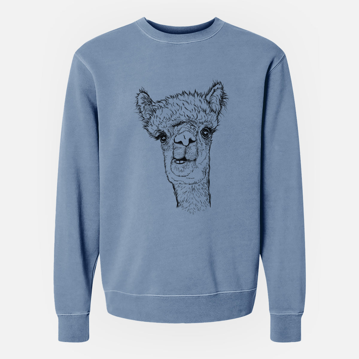 Alpaca - Unisex Pigment Dyed Crew Sweatshirt