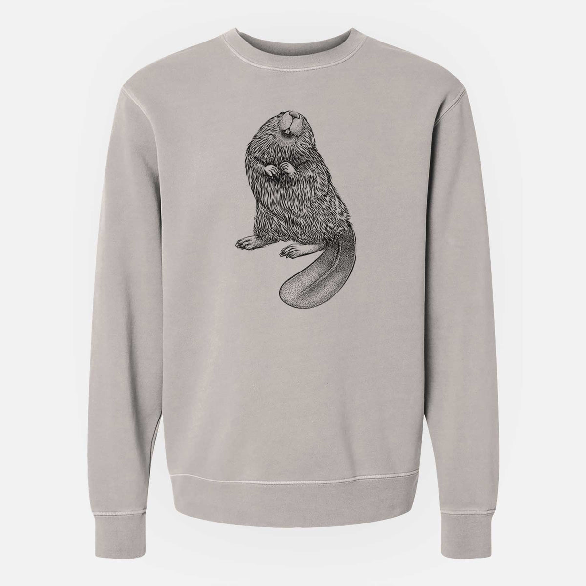 North American Beaver - Castor canadensis - Unisex Pigment Dyed Crew Sweatshirt