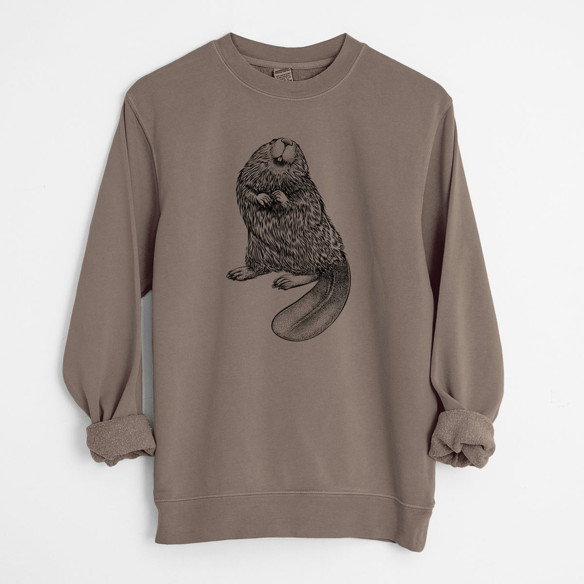 North American Beaver - Castor canadensis - Unisex Pigment Dyed Crew Sweatshirt in Espresso Brown Color