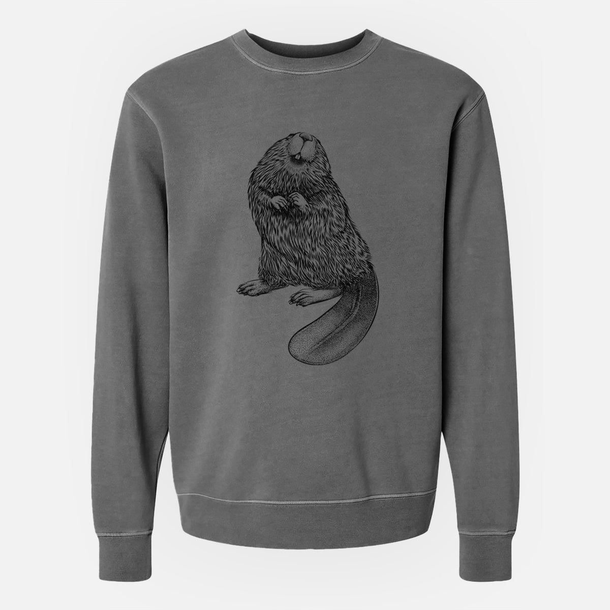 North American Beaver - Castor canadensis - Unisex Pigment Dyed Crew Sweatshirt