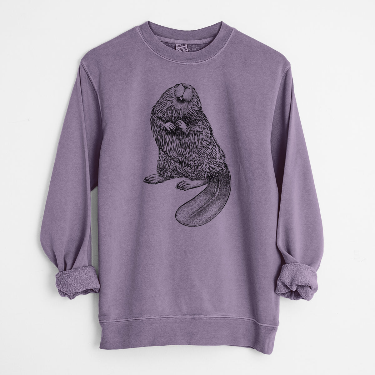 North American Beaver - Castor canadensis - Unisex Pigment Dyed Crew Sweatshirt