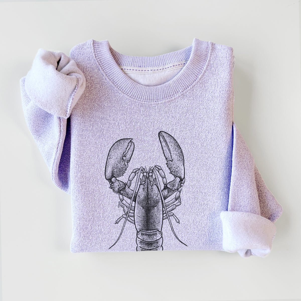 American Lobster - Homarus americanus - Knit Sweatshirt