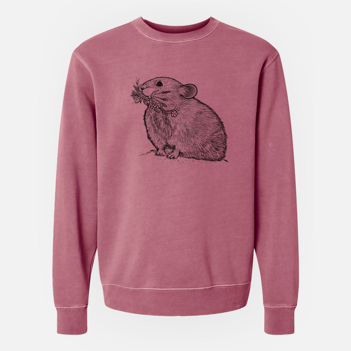 Ochotona princeps - American Pika - Unisex Pigment Dyed Crew Sweatshirt