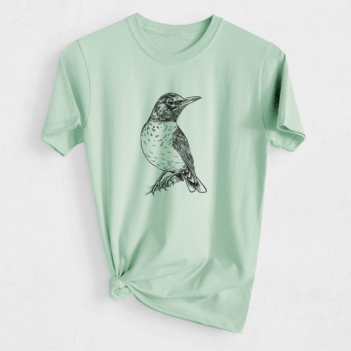 American Robin - Turdus migratorius - Heavyweight Men&#39;s 100% Organic Cotton Tee