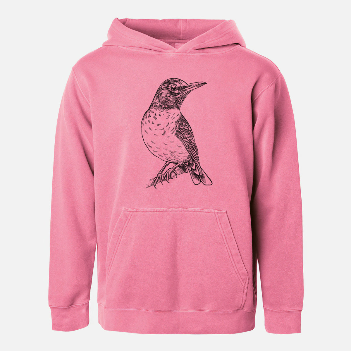 American Robin - Turdus migratorius - Youth Pigment Dyed Hoodie