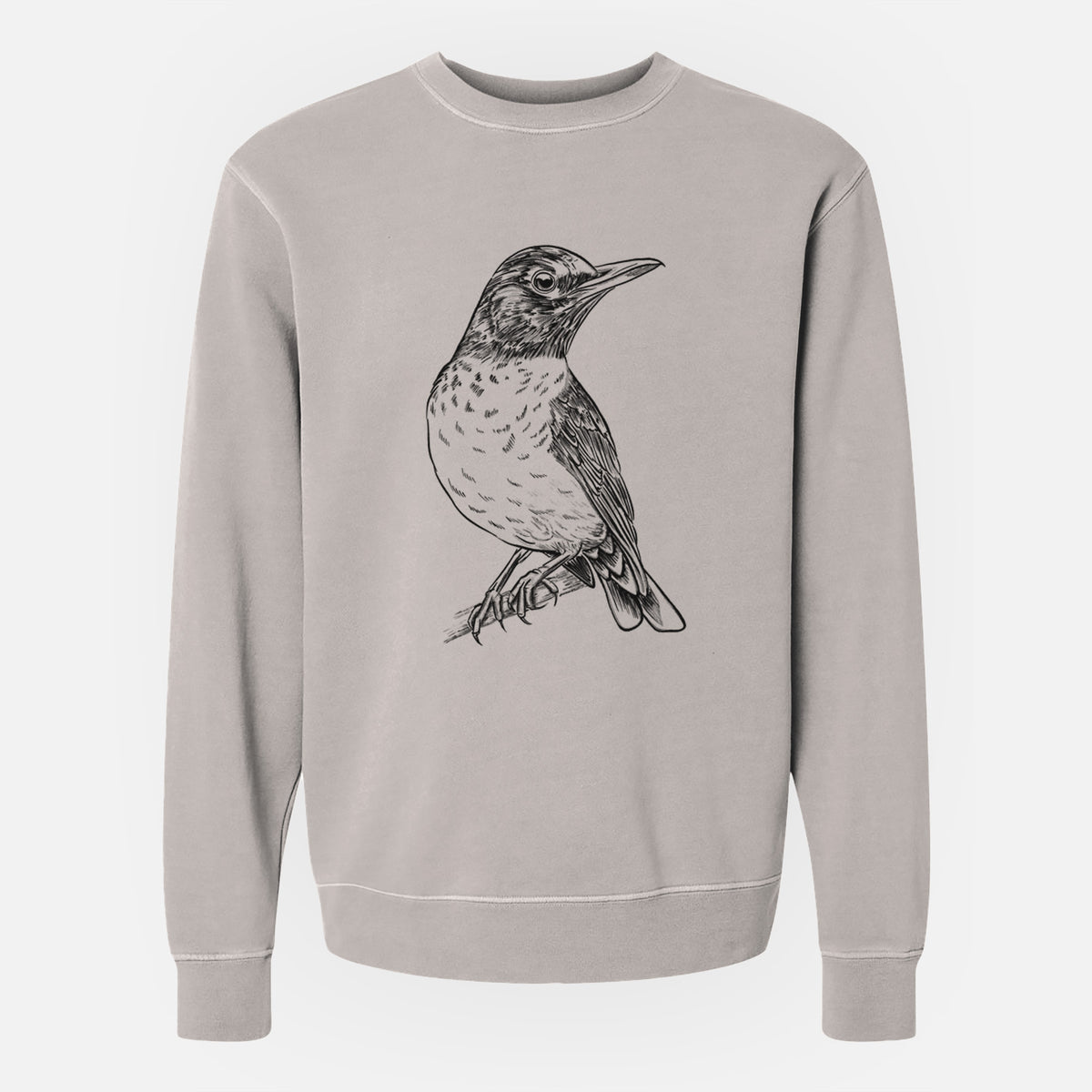 American Robin - Turdus migratorius - Unisex Pigment Dyed Crew Sweatshirt