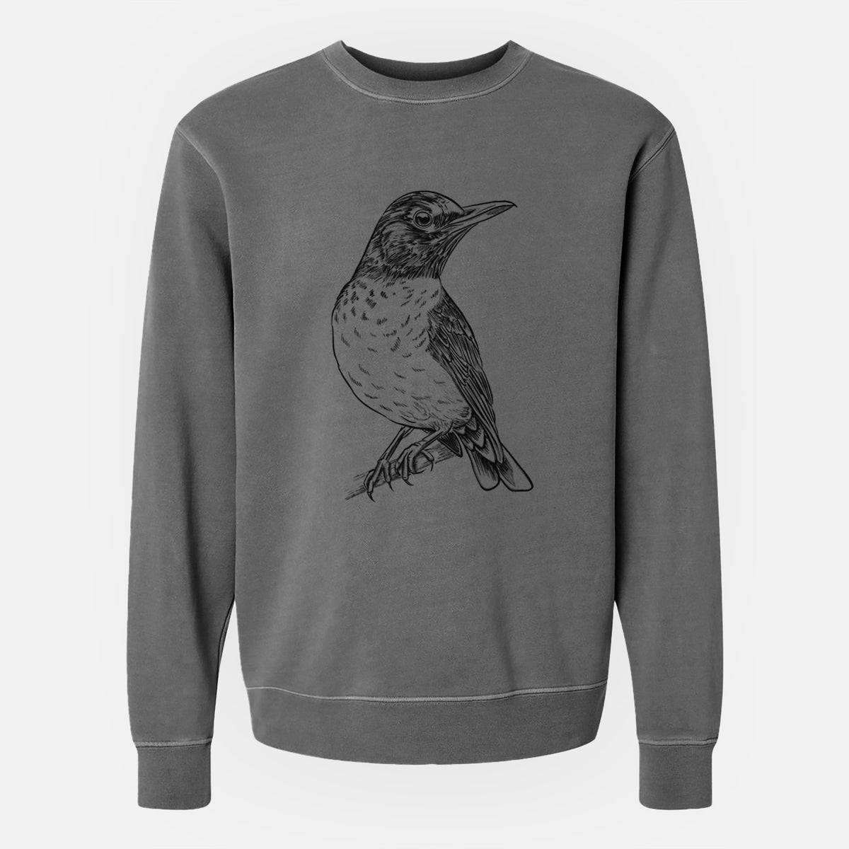 American Robin - Turdus migratorius - Unisex Pigment Dyed Crew Sweatshirt