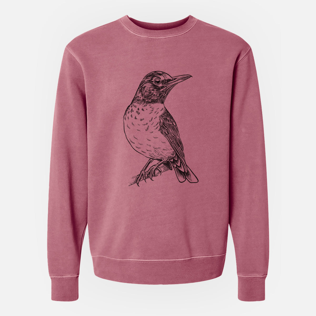 American Robin - Turdus migratorius - Unisex Pigment Dyed Crew Sweatshirt