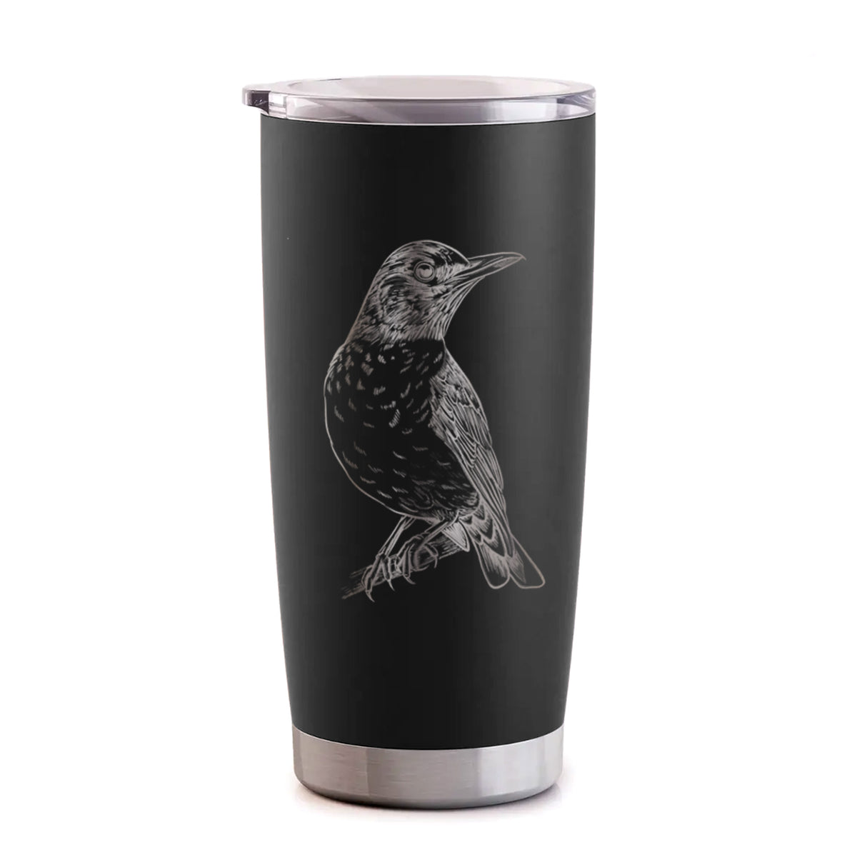 American Robin - Turdus migratorius - 20oz Polar Insulated Tumbler