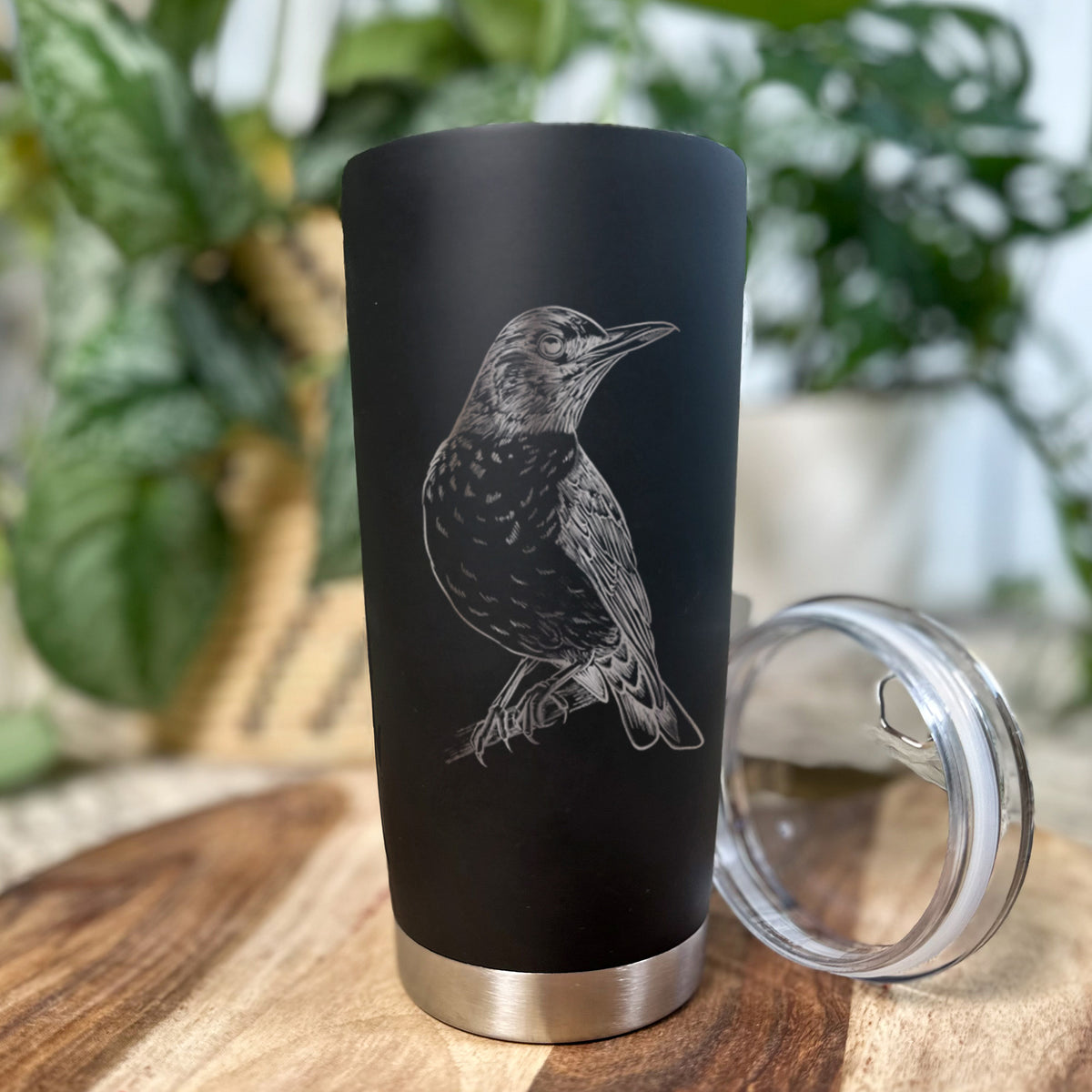 American Robin - Turdus migratorius - 20oz Polar Insulated Tumbler