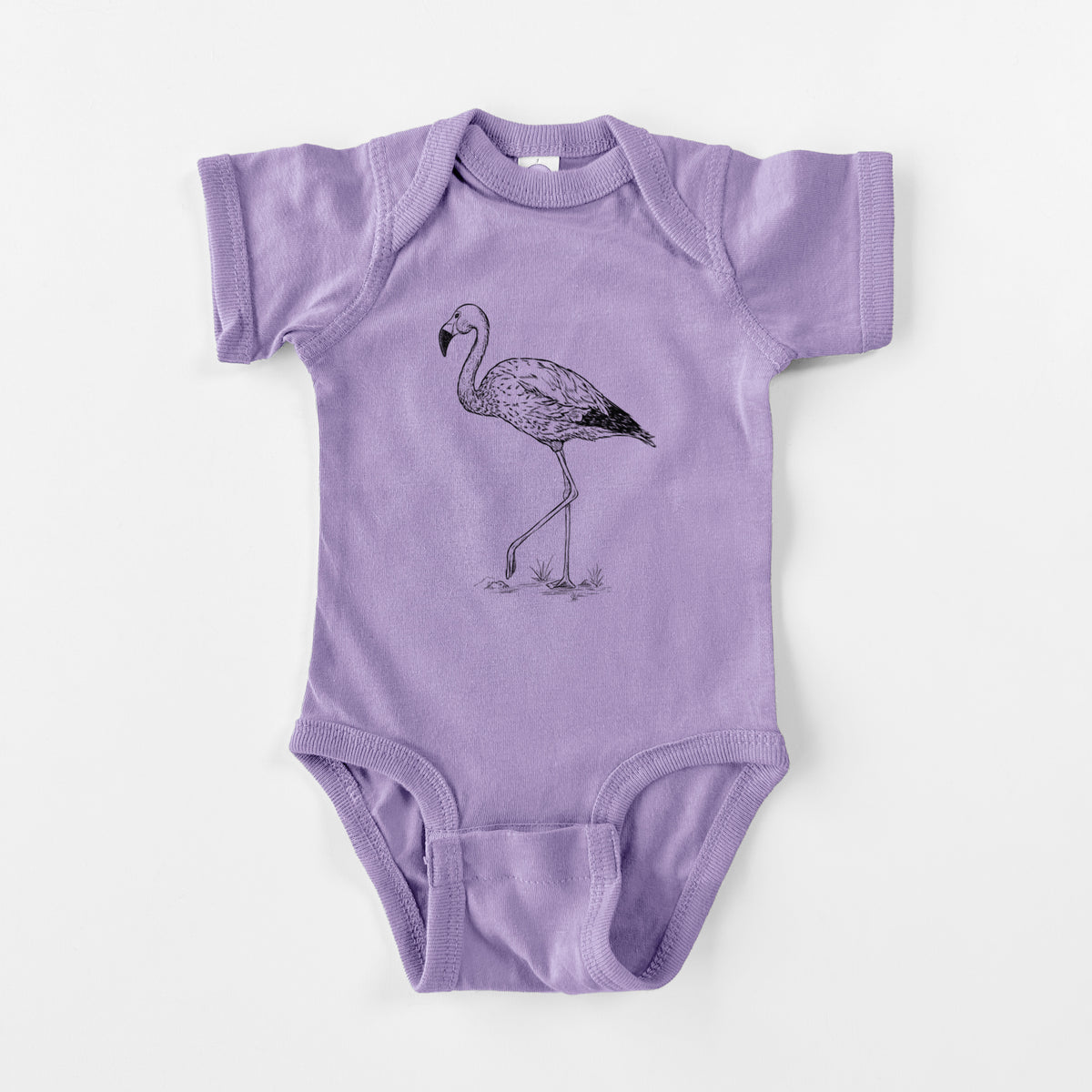 Andean Flamingo - Phoenicoparrus andinus - Baby Fine Jersey Bodysuit