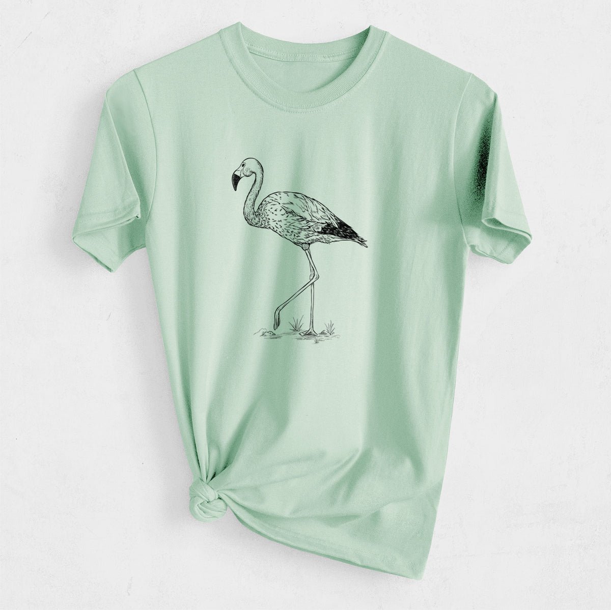 Andean Flamingo - Phoenicoparrus andinus - Heavyweight Men&#39;s 100% Organic Cotton Tee