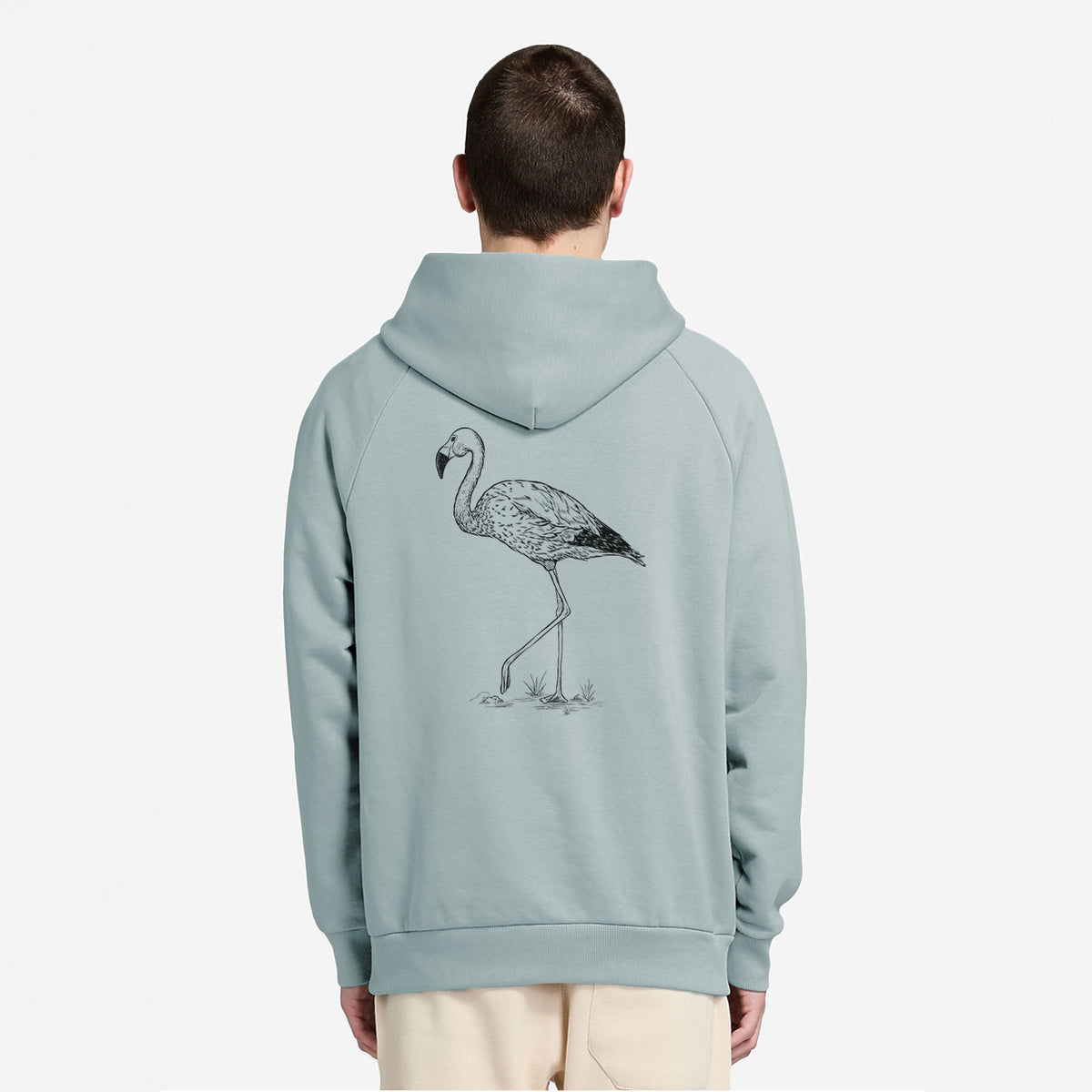 Andean Flamingo - Phoenicoparrus andinus - UltraLuxe Heavyweight French Terry Hoodie