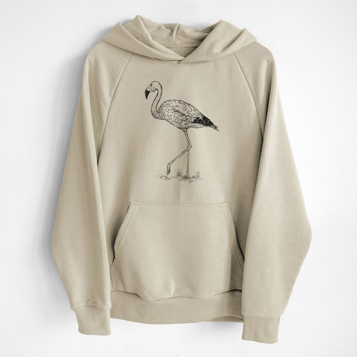 Andean Flamingo - Phoenicoparrus andinus - UltraLuxe Heavyweight French Terry Hoodie