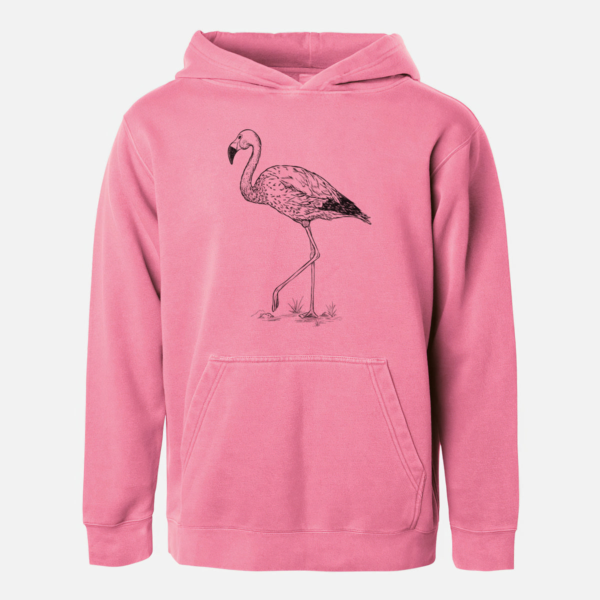 Andean Flamingo - Phoenicoparrus andinus - Youth Pigment Dyed Hoodie