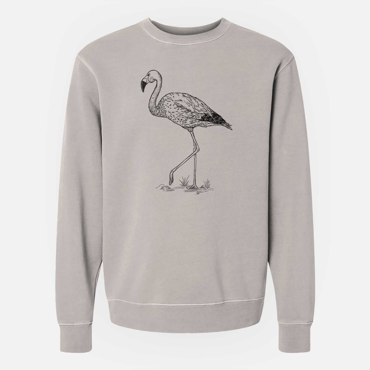 Andean Flamingo - Phoenicoparrus andinus - Unisex Pigment Dyed Crew Sweatshirt