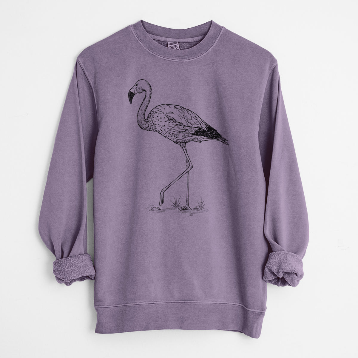 Andean Flamingo - Phoenicoparrus andinus - Unisex Pigment Dyed Crew Sweatshirt