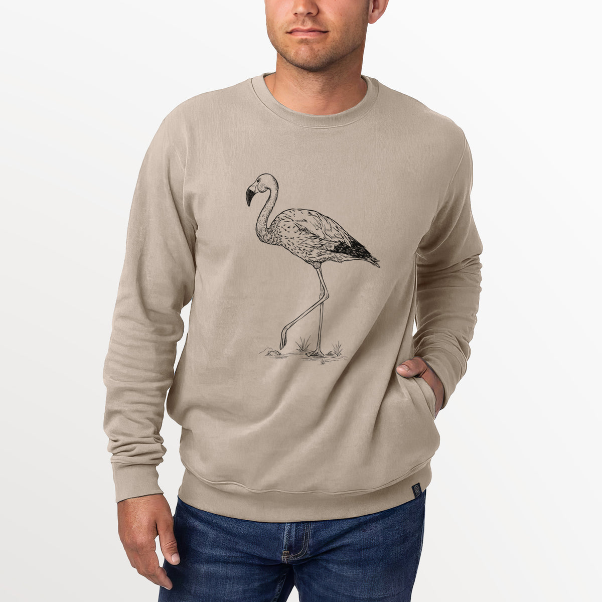 Andean Flamingo - Phoenicoparrus andinus  - Unisex Reclaimed Crewneck Sweatshirt