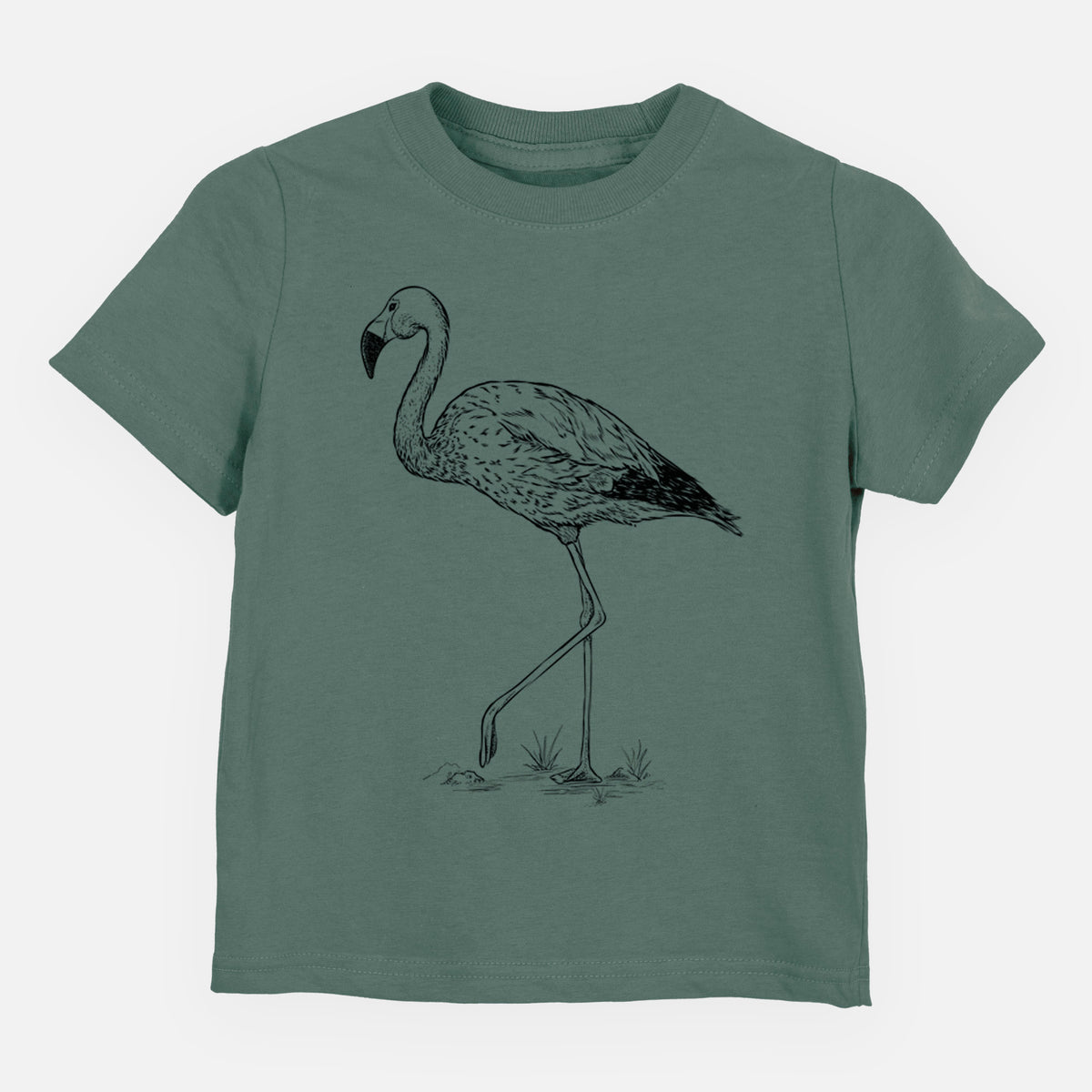 Andean Flamingo - Phoenicoparrus andinus - Toddler/Youth Shirt