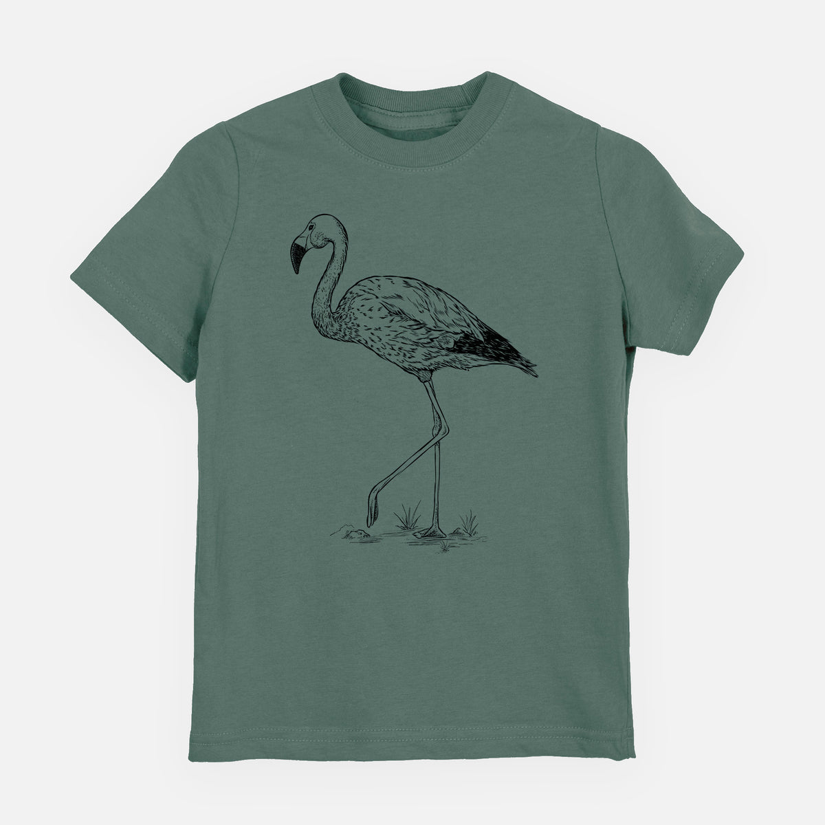 Andean Flamingo - Phoenicoparrus andinus - Youth Shirt