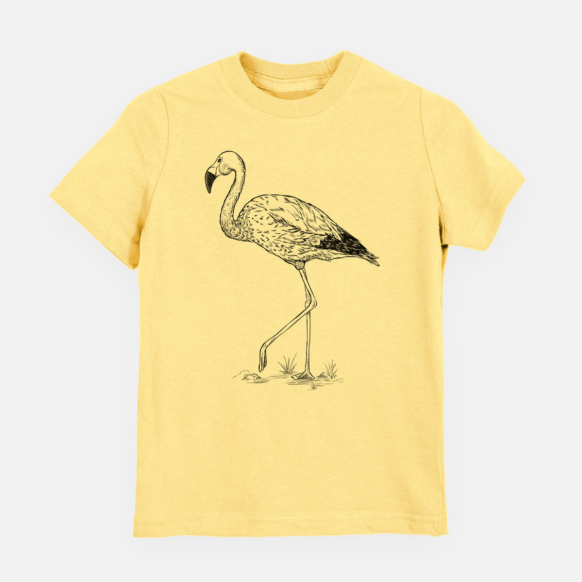 Andean Flamingo - Phoenicoparrus andinus - Youth Shirt