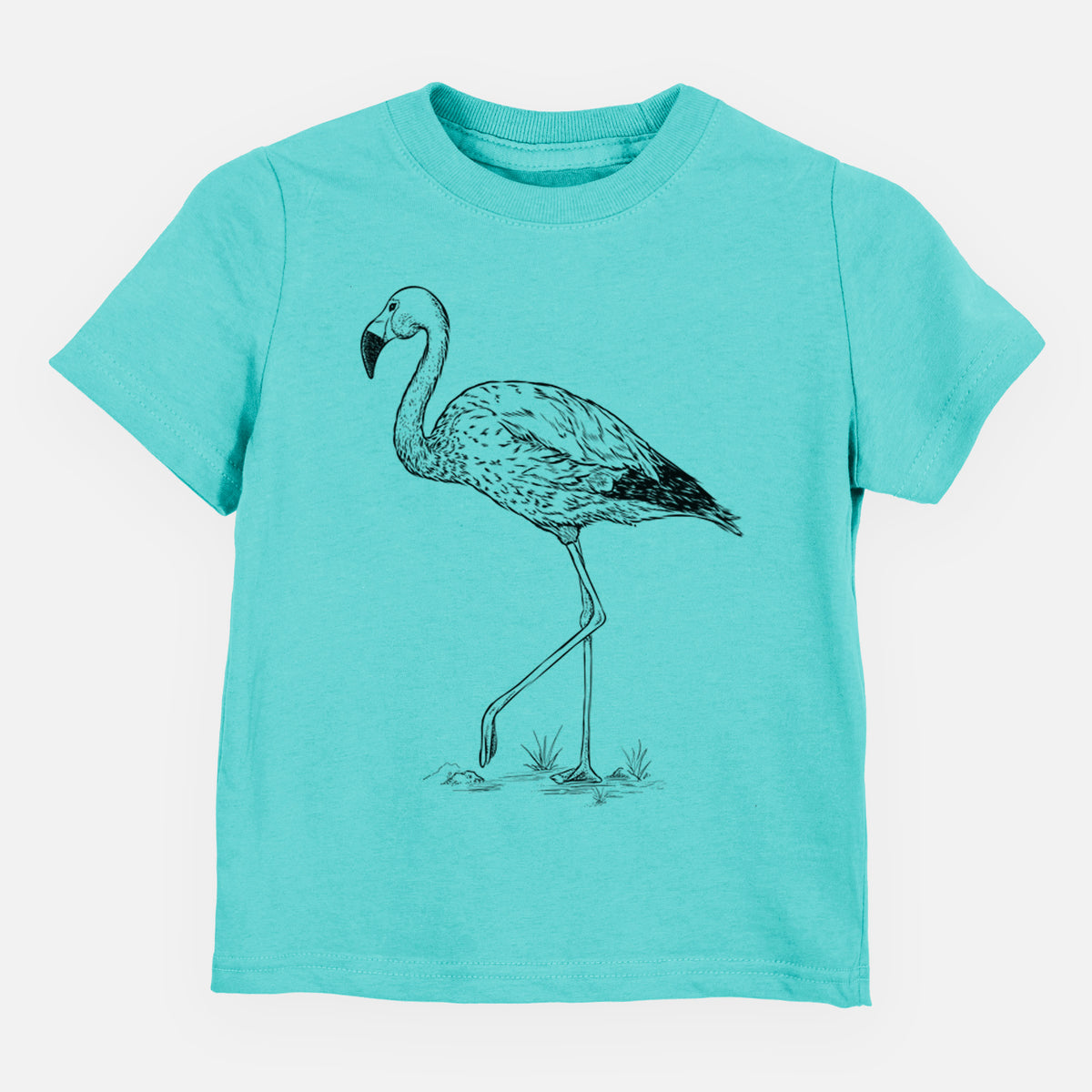 Andean Flamingo - Phoenicoparrus andinus - Toddler/Youth Shirt