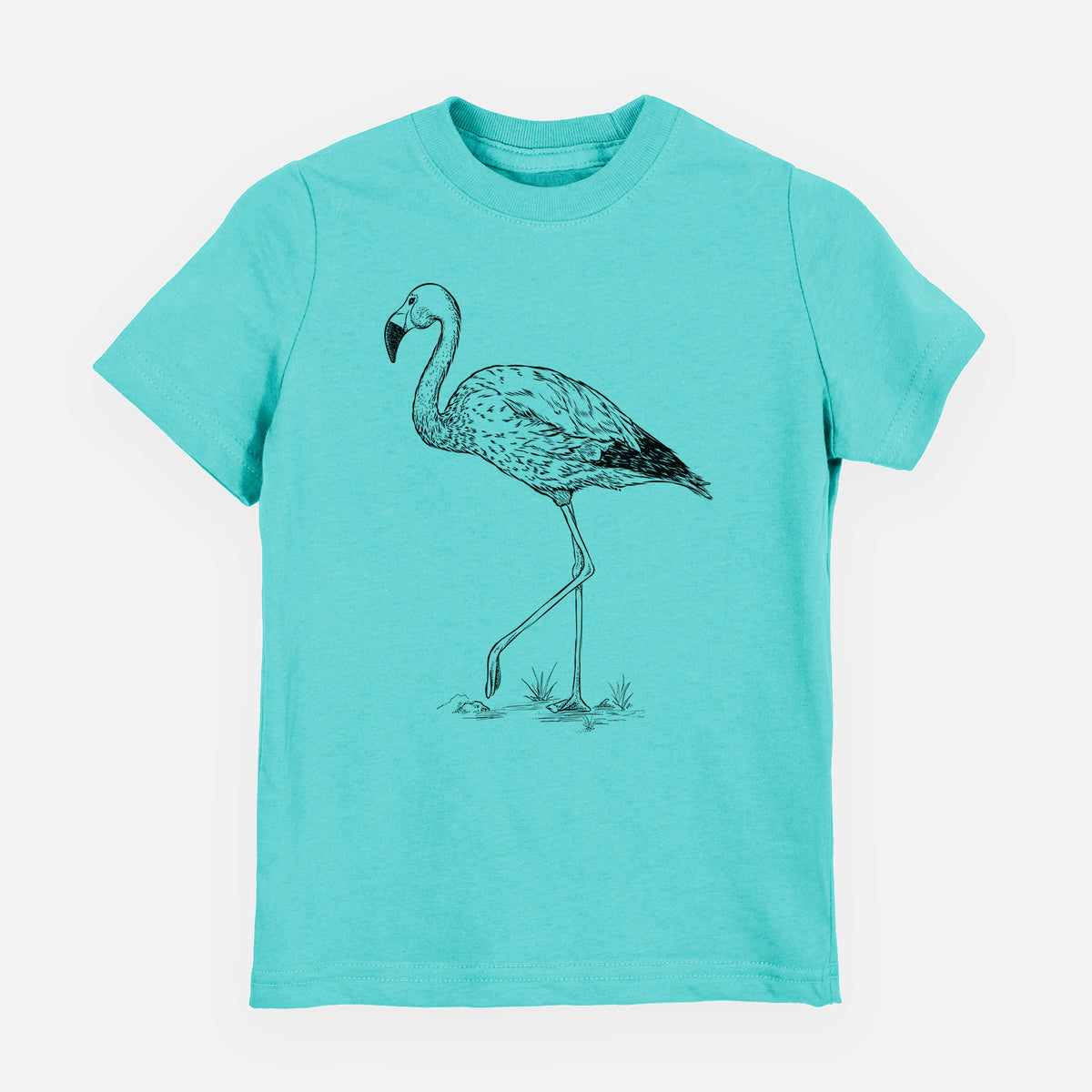 Andean Flamingo - Phoenicoparrus andinus - Toddler/Youth Shirt