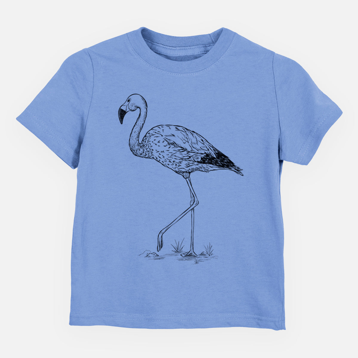 Andean Flamingo - Phoenicoparrus andinus - Toddler/Youth Shirt