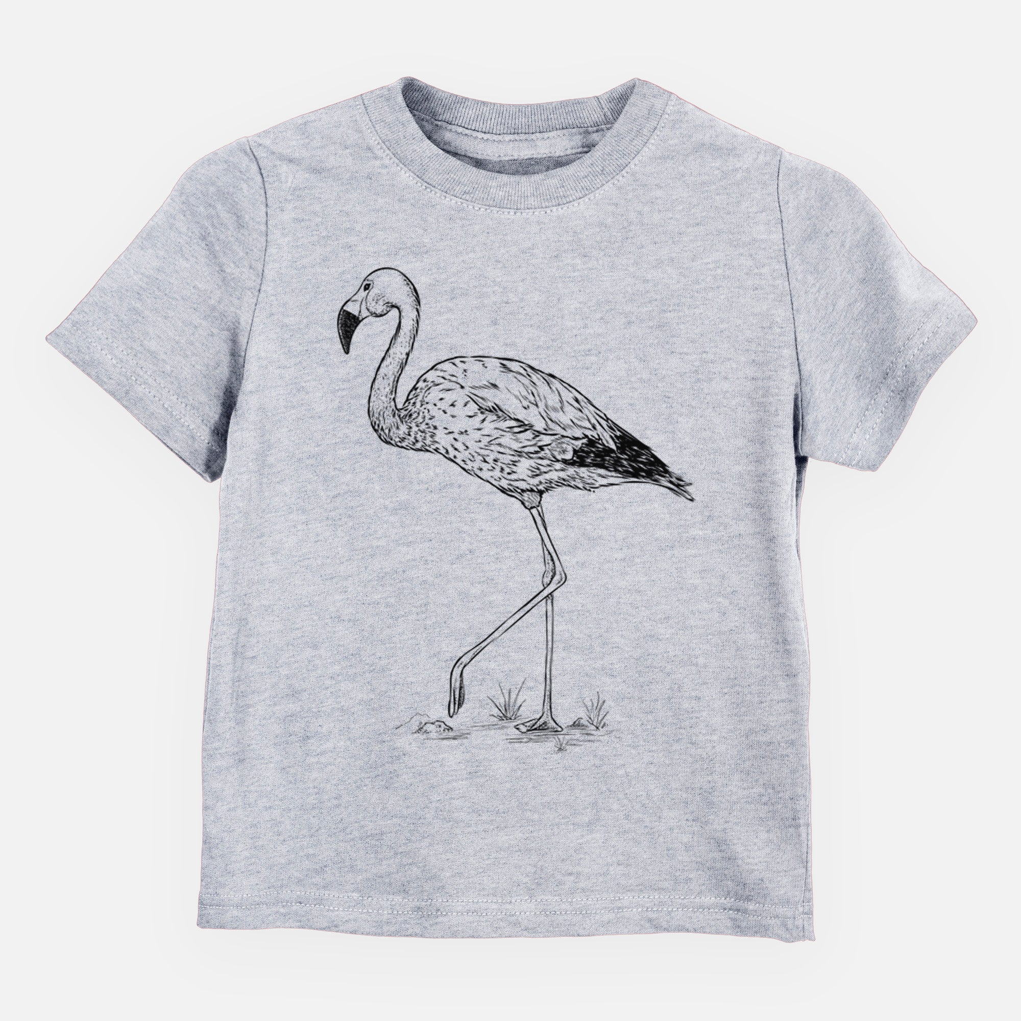 Andean Flamingo - Phoenicoparrus andinus - Toddler/Youth Shirt