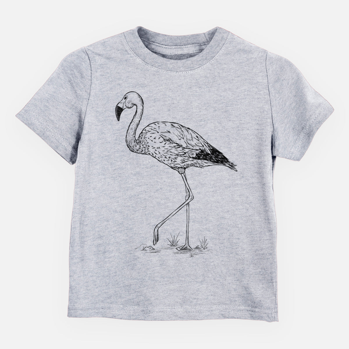 Andean Flamingo - Phoenicoparrus andinus - Toddler/Youth Shirt