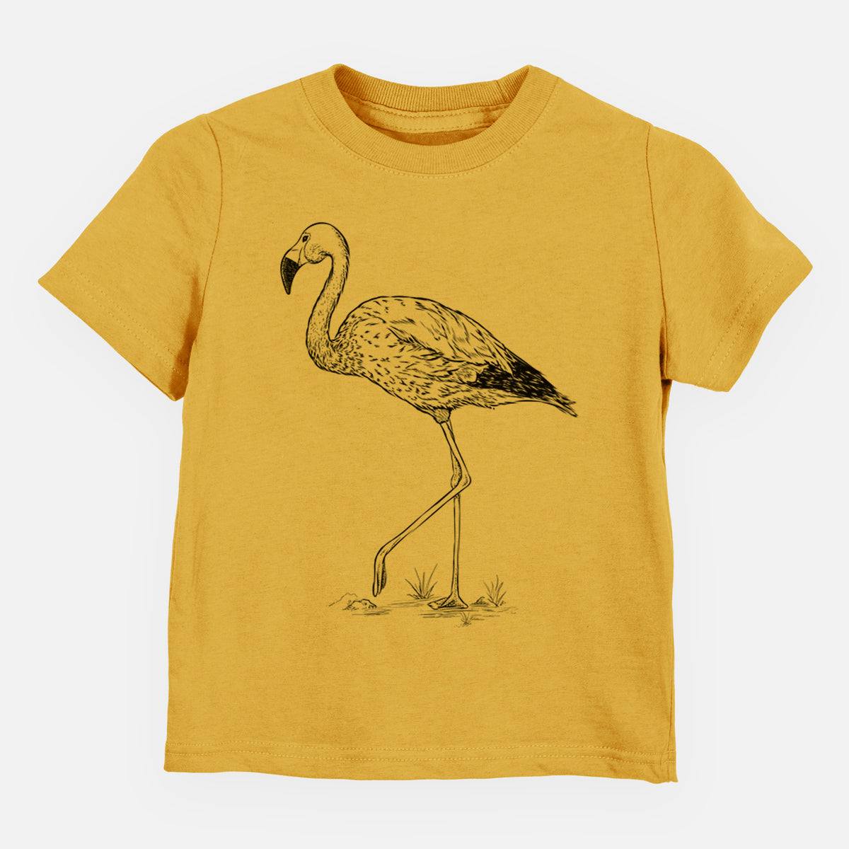 Andean Flamingo - Phoenicoparrus andinus - Toddler/Youth Shirt