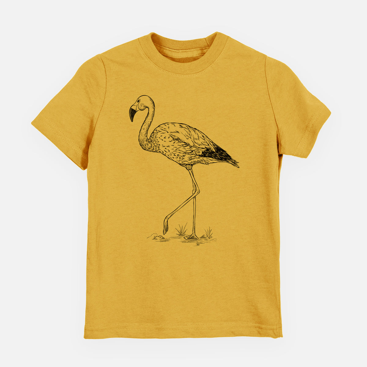 Andean Flamingo - Phoenicoparrus andinus - Toddler/Youth Shirt