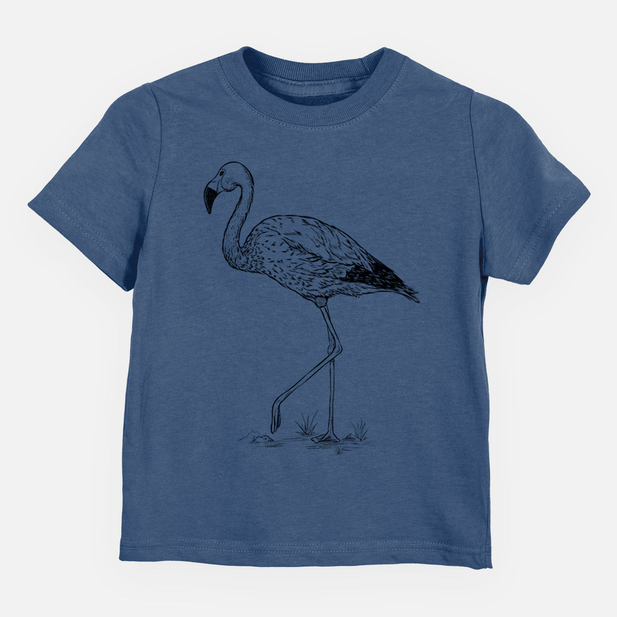 Andean Flamingo - Phoenicoparrus andinus - Toddler/Youth Shirt