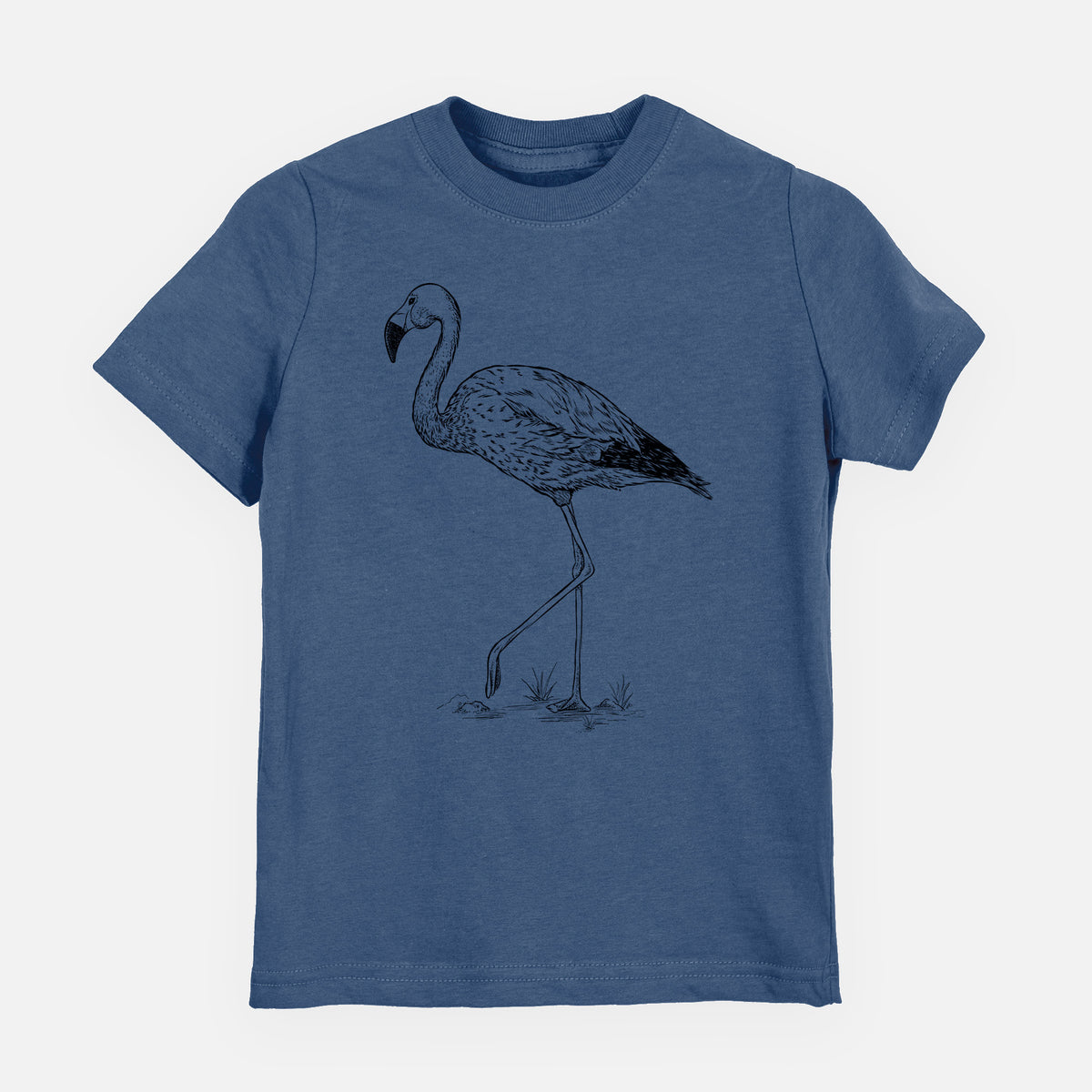 Andean Flamingo - Phoenicoparrus andinus - Toddler/Youth Shirt