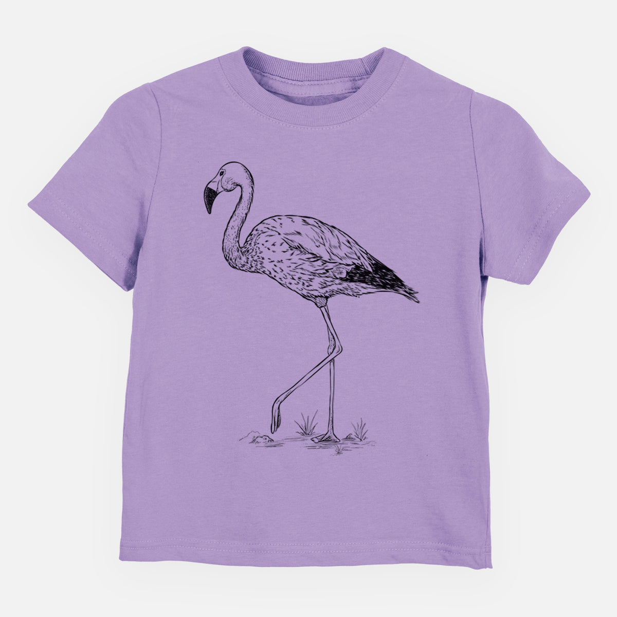 Andean Flamingo - Phoenicoparrus andinus - Toddler/Youth Shirt