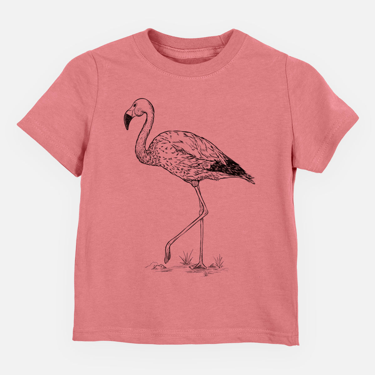 Andean Flamingo - Phoenicoparrus andinus - Toddler/Youth Shirt
