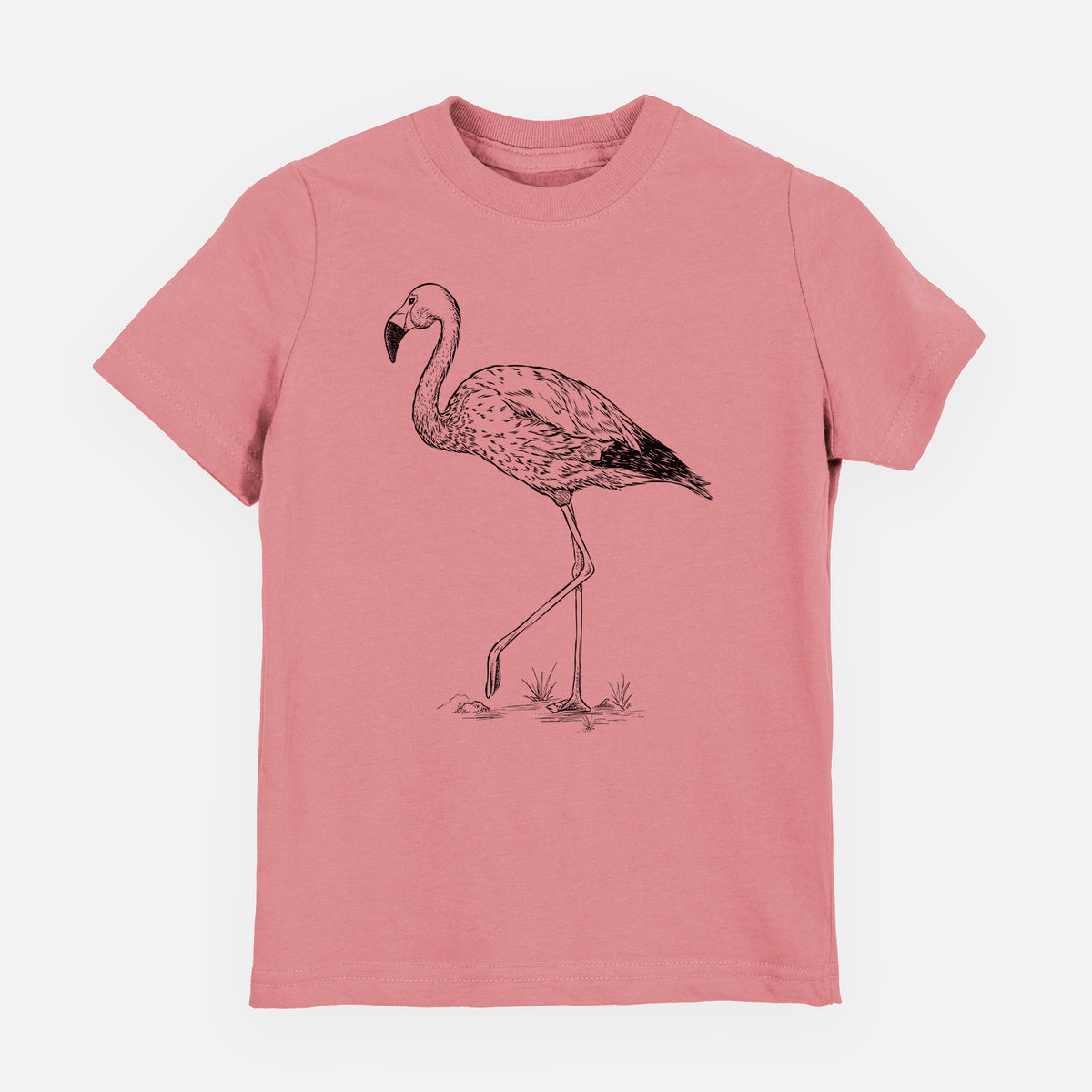 Andean Flamingo - Phoenicoparrus andinus - Youth Shirt