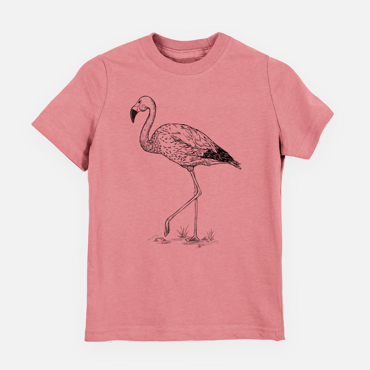 Andean Flamingo - Phoenicoparrus andinus - Toddler/Youth Shirt